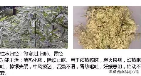 鸡肠风的功效与作用，史上最全中草药图谱