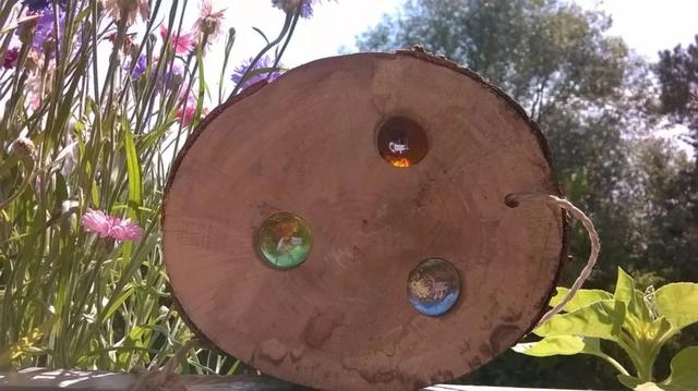 华德福教育理念，如何评价华德福教育模式（在中国被追捧的华德福）