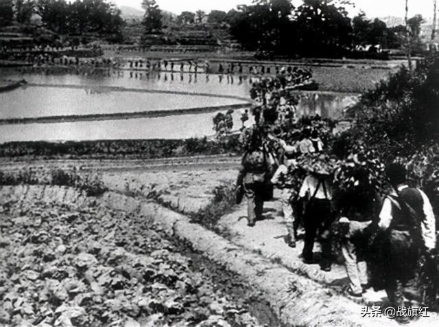 温玉成，1955年为何只授少将（温玉成）