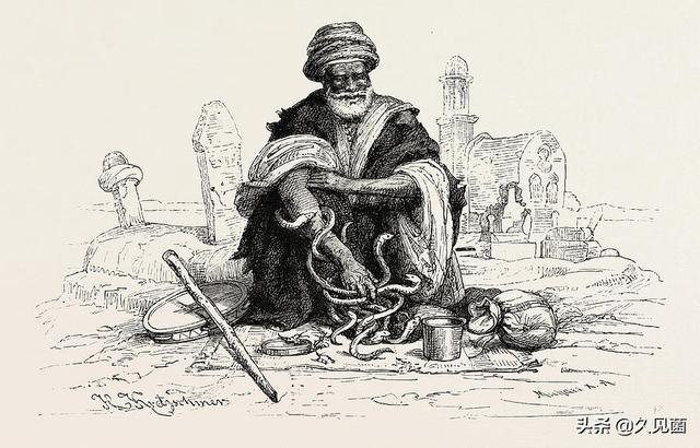 印度蛇为什么是保护动物，印度每年4.59万人死于蛇咬