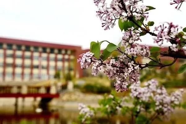 哈工大一校区图书馆几点开门，哈工大二校区图书馆开放时间（哈尔滨工业大学威海校区）