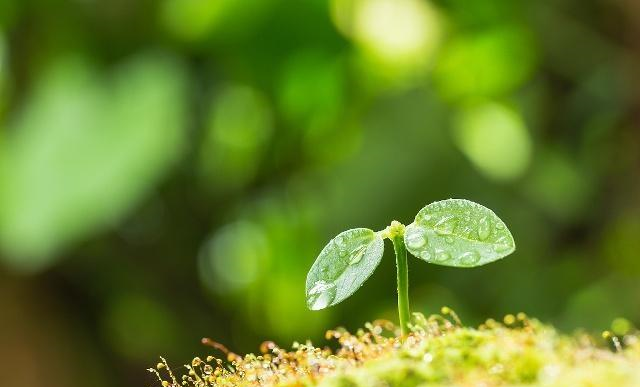 老好人是什么意思，老好人的定义是什么（别成为职场中的“老好人”）