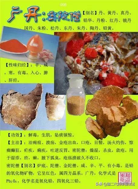 常见中草药图谱，中草药经典图谱（让你知道常用药都长啥样）