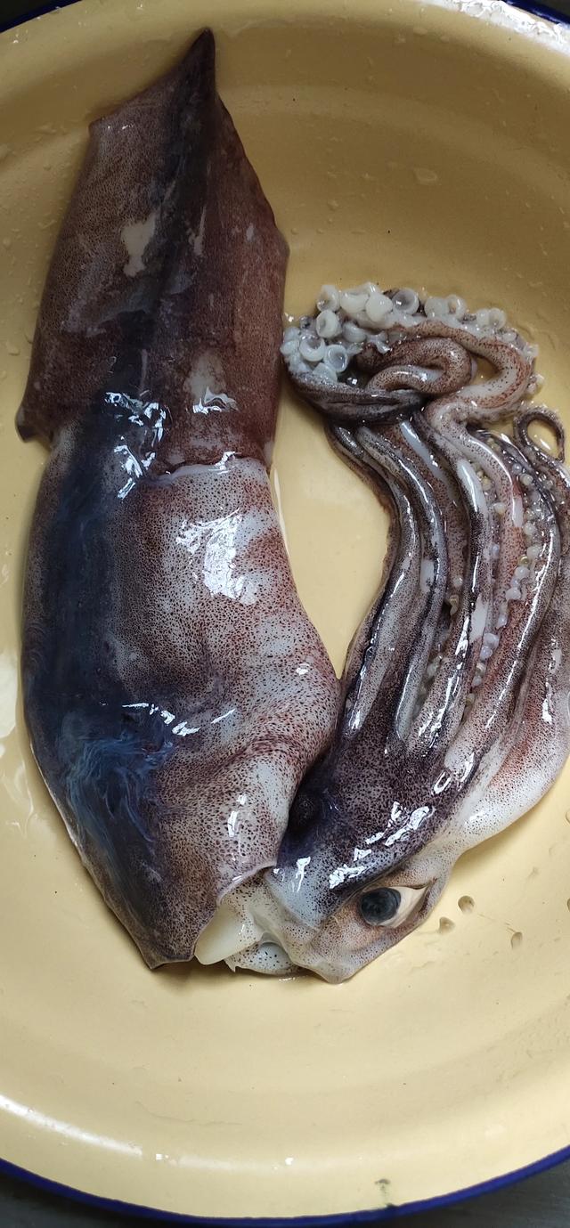 教你做美味的鱿鱼炒青椒,鱿鱼炒青椒的做法窍门(下饭下酒好佳肴) 教你做美味的鱿鱼炒青椒,鱿鱼炒青椒的做法窍门(下饭下酒好佳肴)