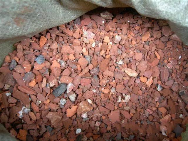 兰花什么时候开花，兰花开花时间（兰花最全养护要点）