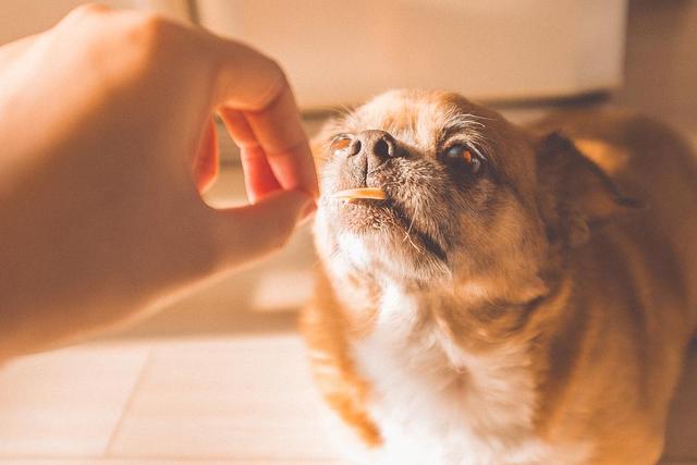 吹水机，不要再傻傻不知道了（吹水机使用方法）