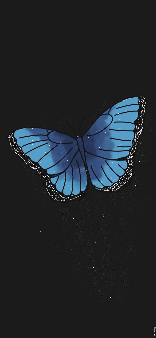 唯美有蝴蝶，微信头像，唯美有蝴蝶（超级惊艳靓丽的蝴蝶来了第二波）