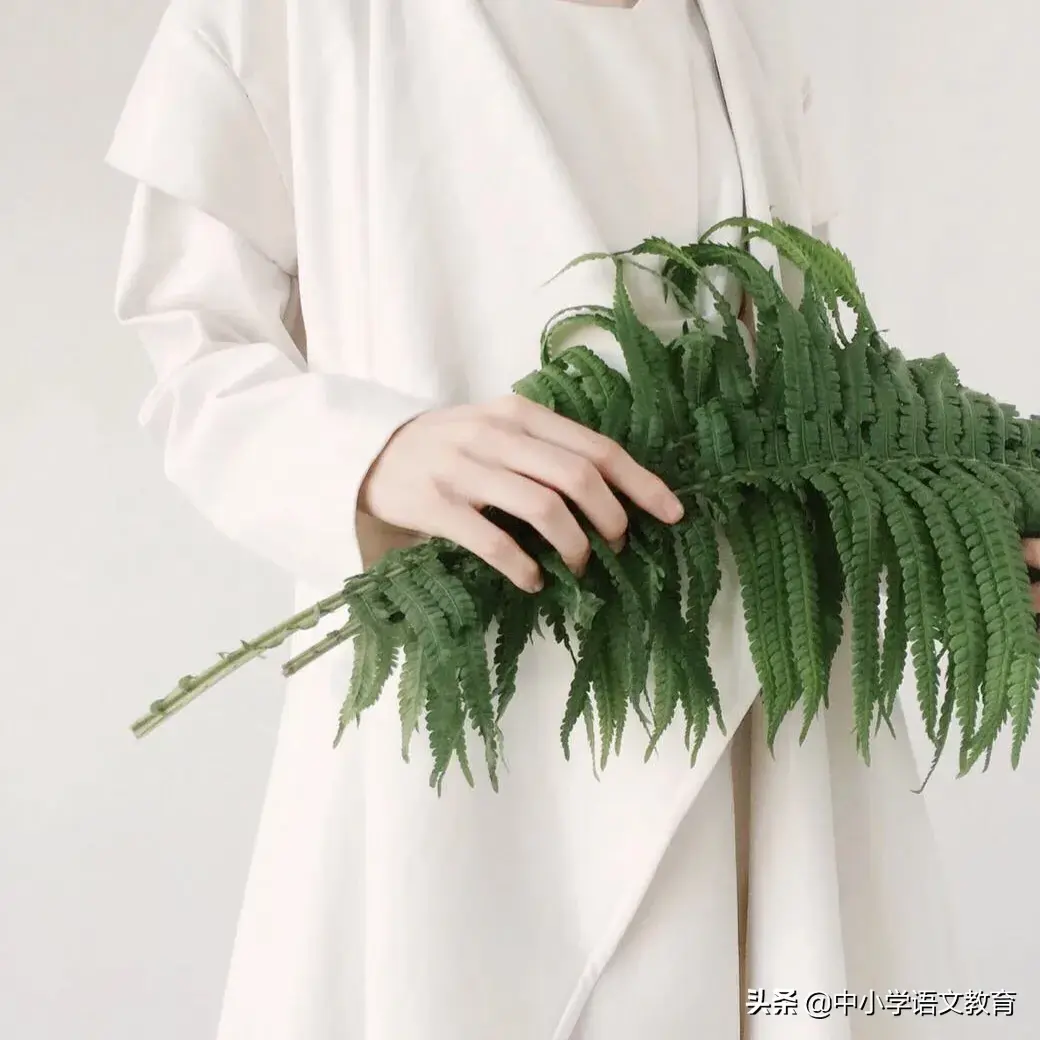 波澜不惊是什么意思，波澜不惊的意思是什么意思（范仲淹《岳阳楼记》带翻译和鉴赏）