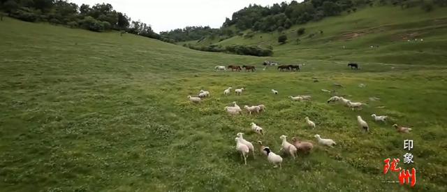 羊肉泡馍的来历，羊肉泡馍的做法（陕西羊肉泡馍历史起源新话）