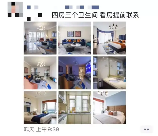 猪突猛进是什么意思，猪突猛进是什么意思日语（自愿宅和强制宅完全是两种感觉）