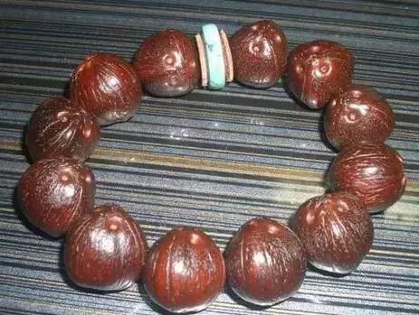 佩戴紫金鼠菩提的禁忌，紫金鼠可以直接佩戴吗（最招财的手串居然是一串“老鼠”）