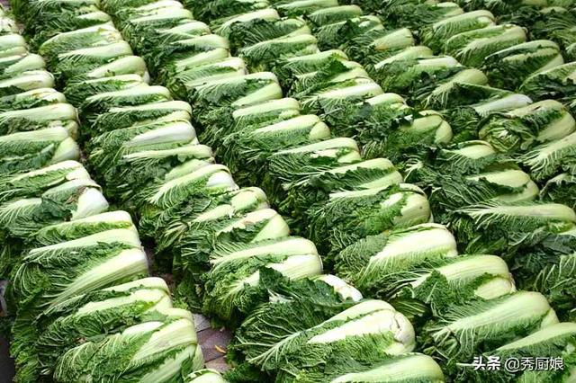青麻叶大白菜的储存方法，教你3个好办法