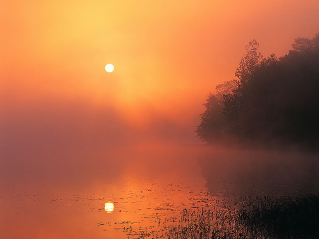 怀念过去的诗句，十首回忆诗词（感慨岁月催人老的古诗词）