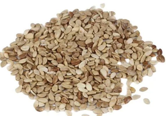 葫芦种植方法，吊葫芦的种植方法（葫芦怎么种植）