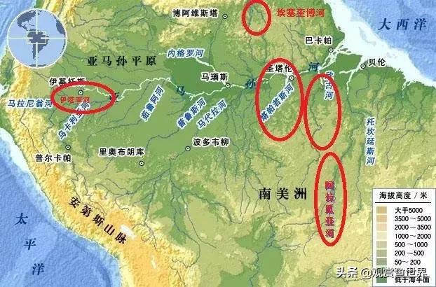 怎样分月光鱼的公母,热带鱼月光如何区分公母(浅谈黄腹月亮宝石及选购、饲养和繁殖心得经验) 怎样分月光鱼的公母,热带鱼月光如何区分公母(浅谈黄腹月亮宝石及选购、饲养和繁殖心得经验)