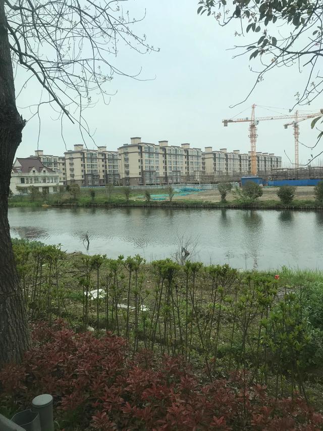 大学的散居和聚居是什么意思，大学中的聚居和散居是什么意思（话说农村散居与聚居的利与弊）