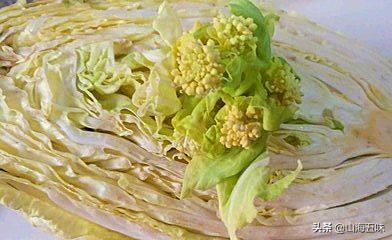 白菜可以晒干吗怎么晒干菜，白菜如何晒干菜（把干蔫生芽的白菜切了晒了）