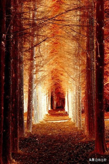 内蒙古人所说的风季是哪个季节，蒙古人的风季是什么季节（中国历史地理常识大全）