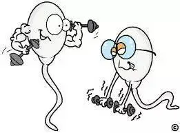 深圳在哪捐精可以补贴多少，“我想要个孩子，这样做行不行