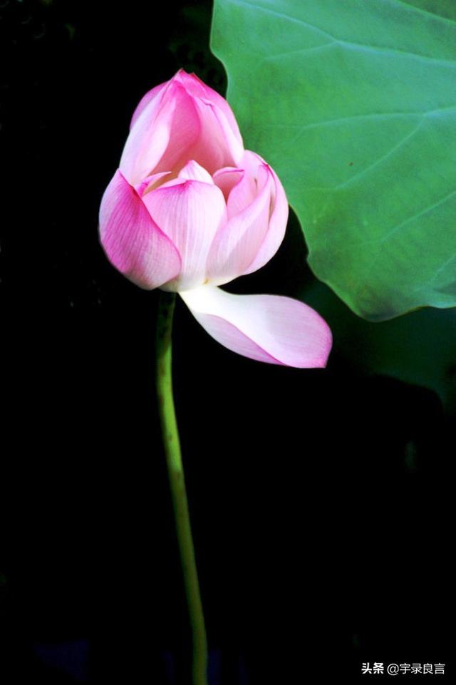 何必作贱自己的说说，说自己是贱人的说说（挤不进的世界不要硬挤）