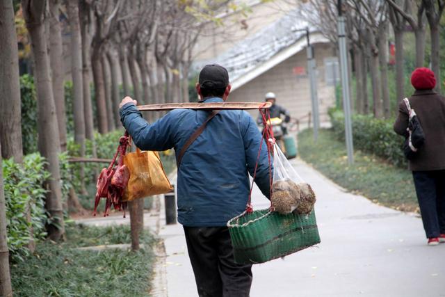 关于康字的成语，关于康字的成语有哪些（成语“楚腰卫鬓”指美女的细腰秀发）