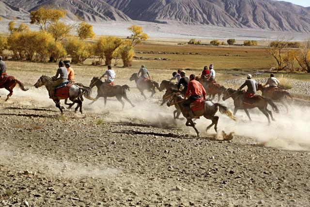 用马字组词有什么，马字组词还有什么（拍马“留序”摄影浅谈）