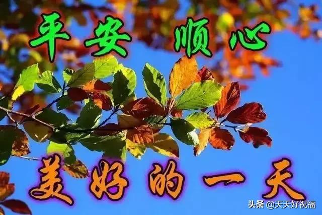 关于中元节的问候句子，中元节可以发问候语吗（7月15中元节清晨问候语句）