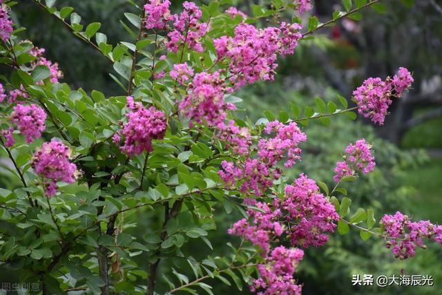 描写傍晚的句子，描写傍晚的优美句子（傍晚时光，自在安然）