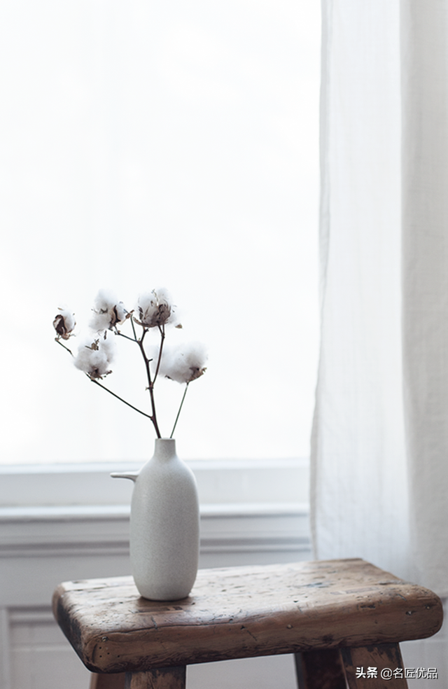 棉花花语和寓意是什么，棉花花语（花店老板娘手中的棉花）