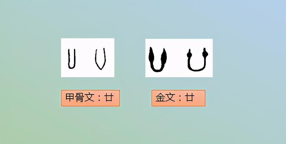 卄卄卅卅卌卌三字怎么读(十廿卅卌圩圆进枯枠古代数字)