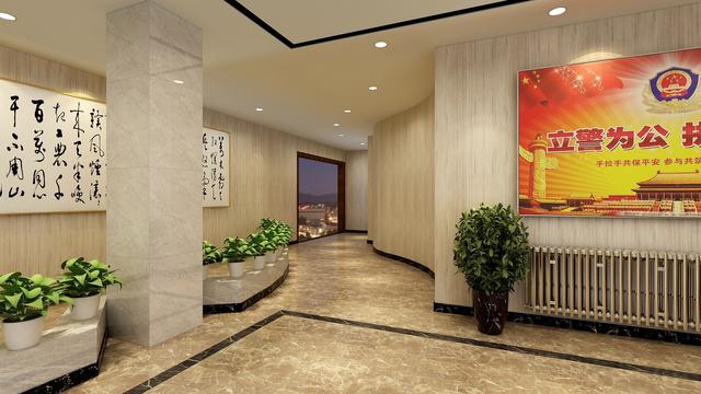 会议室设计说明，公司会议室设计说明（公共空间设计———会议室、大厅）