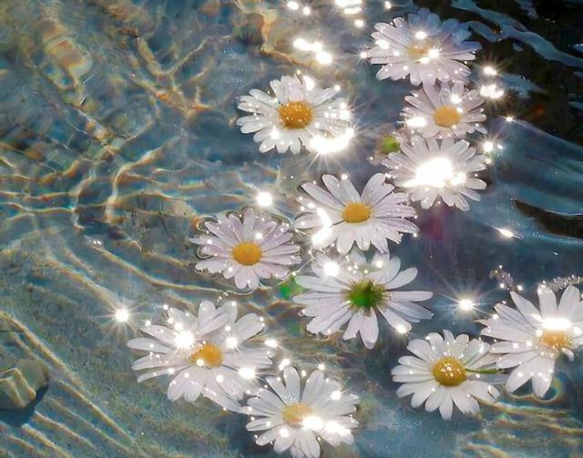 网红同款背景图   炒鸡有风格☁，背景图案网红（炒鸡nice的微信QQ背景图片）