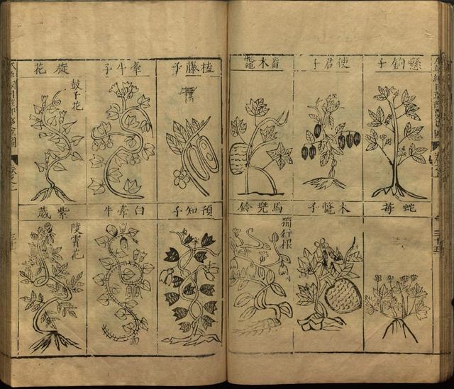 本草纲目全书带图，李时珍本草纲目全书（李时珍著《本草纲目》附图卷）