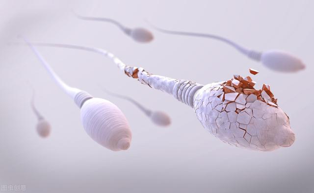 排精之后可以存活多久，精子排出来能活多久（想要备孕的年轻夫妻，看过来）