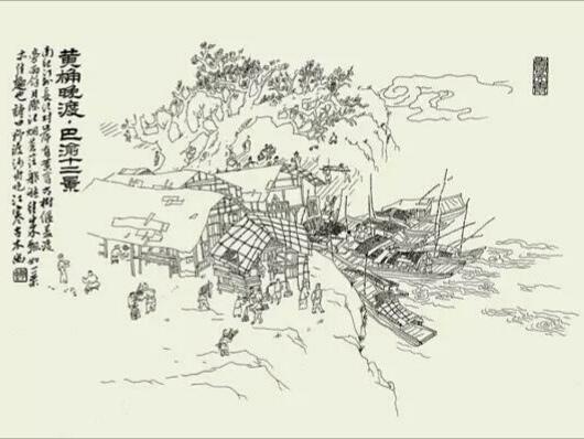 黄葛树和黄桷树的区别，黄葛树（黄葛树图片）