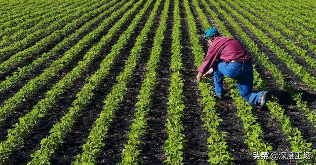 美国有多少年历史，美国成立了多少年有多少年的历史（能否逃过王朝300年期限）