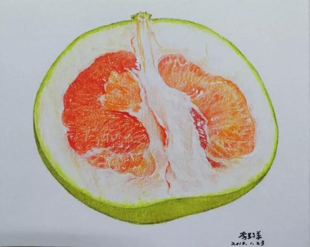 柚子简笔画涂色图片