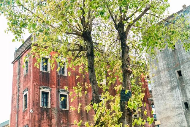 观澜属于深圳哪个区,观澜属于深圳哪个区地图(观澜,景美人少) 观澜属于深圳哪个区,观澜属于深圳哪个区地图(观澜,景美人少)