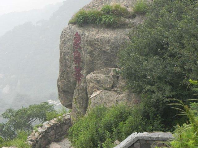 䖝下面一个二是什么成语，无什么成语大全四个字（日本学者百思不解）