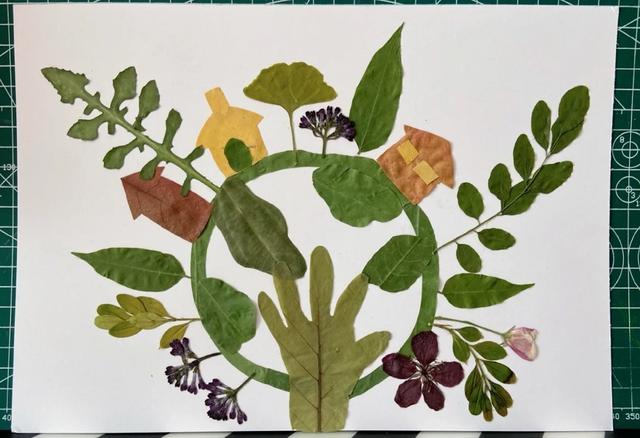 用树叶贴画的方法与步骤，怎样用树叶贴画（不花一分钱的早教课）