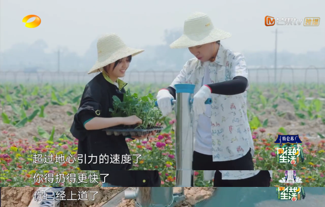 向往的生活开局推到张子枫，张子枫是谁推荐到向往的生活（《向往的生活4》张子枫被疑社恐）