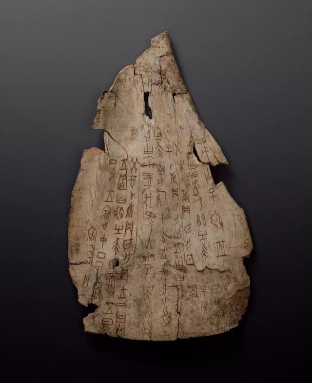 多少千克是一斤，一斤等于多少（“斤”明明是我国传统度量衡）