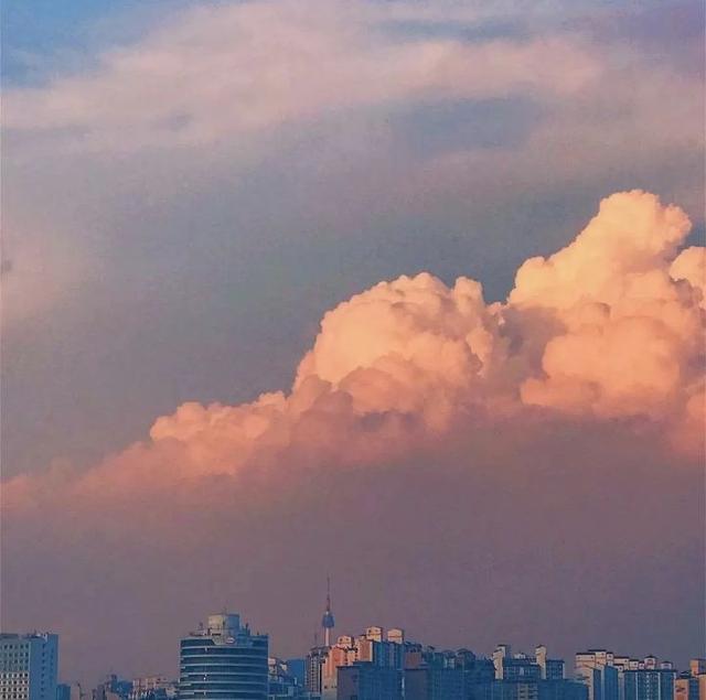 等君归.闻卿至.网名，等君归.闻卿至.（情侣网名：春风又绿江南岸）