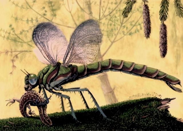 蜈蚣是昆虫吗为什么，蜈蚣属于昆虫吗为什么（如果地球上氧气含量突然增加一倍）