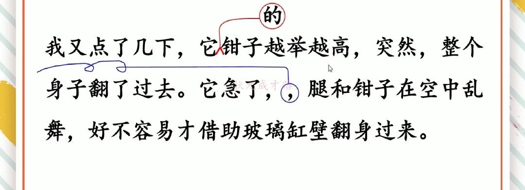 修改病句添加符号怎么画三年级（三年级用修改符号修改的句子）