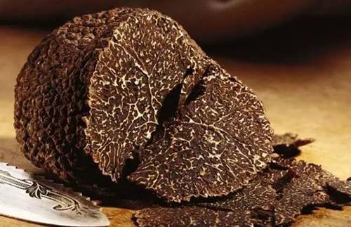 松露是什么东西，松露的功效与作用（都说松露好吃、松露贵、那么松露到底是什么）