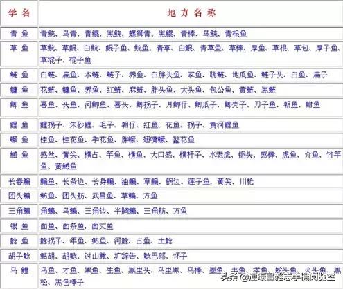 淡水鱼都有什么鱼，钓鱼人一定要知道的二十种淡水鱼（中国常见的20种淡水鱼）