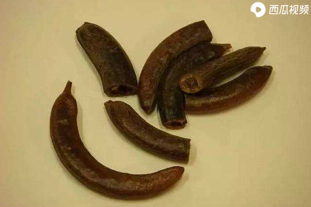 胰脏是什么,胰脏是什么东西(为什么有人爱用猪内脏洗澡)