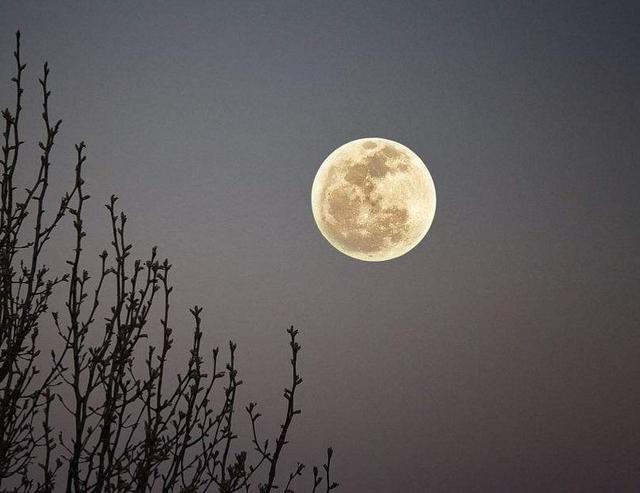 月亮的公转周期是多久，月亮公转一周是多长时间（月球从来只用一面看向地球）