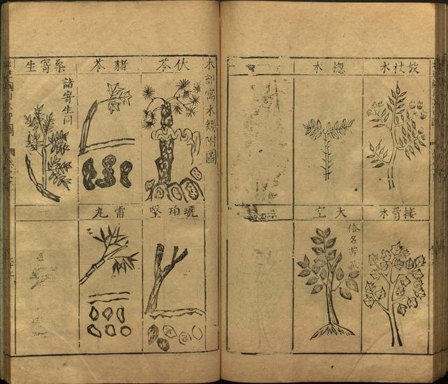 本草纲目全书带图，李时珍本草纲目全书（李时珍著《本草纲目》附图卷）
